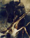 Gazelle et gnou