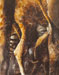 Girafes, zèbres et rhinocéros