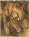 Lionne et lion