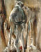 Les chameaux de Siwa