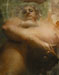 Gaia en forme d'Anne