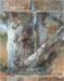 Des écorces de la Sainte Victoire