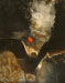 L'oiseau du Mont Saint-Michel
