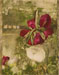 Pivoines à Giverny